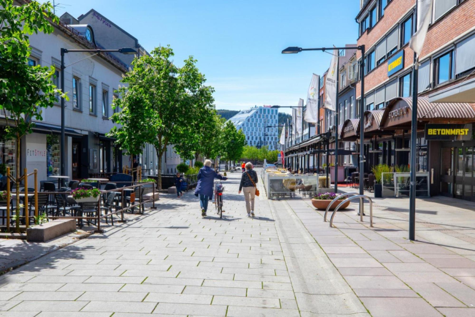 Km Rentals - Lillestrom City Exterior photo